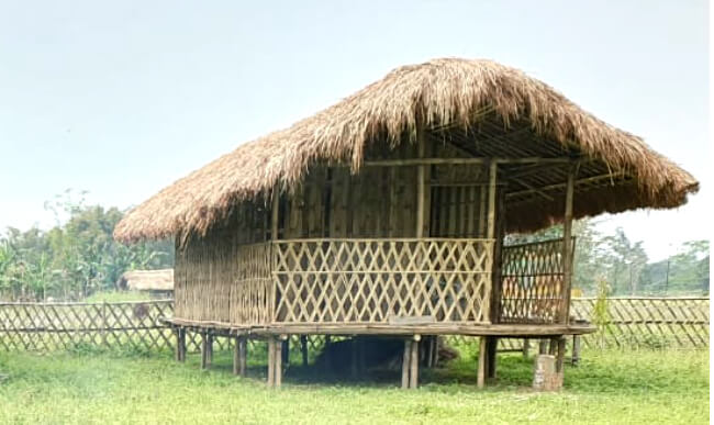 Jia Organic Resort in Arunachal Pradesh