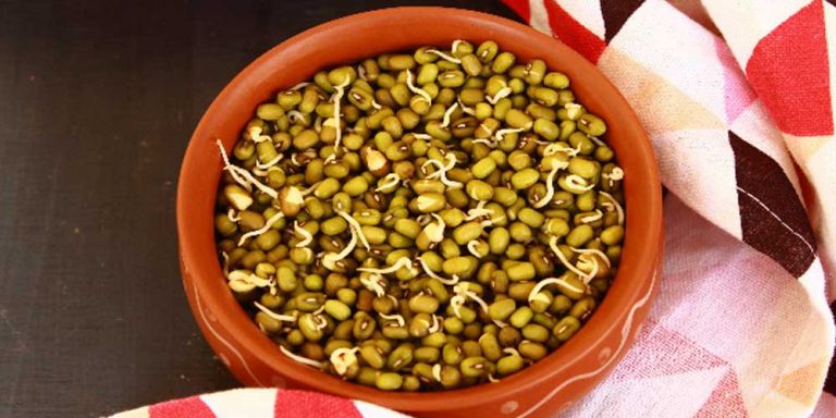 How-to-Sprout-Moong-Beans-768×384