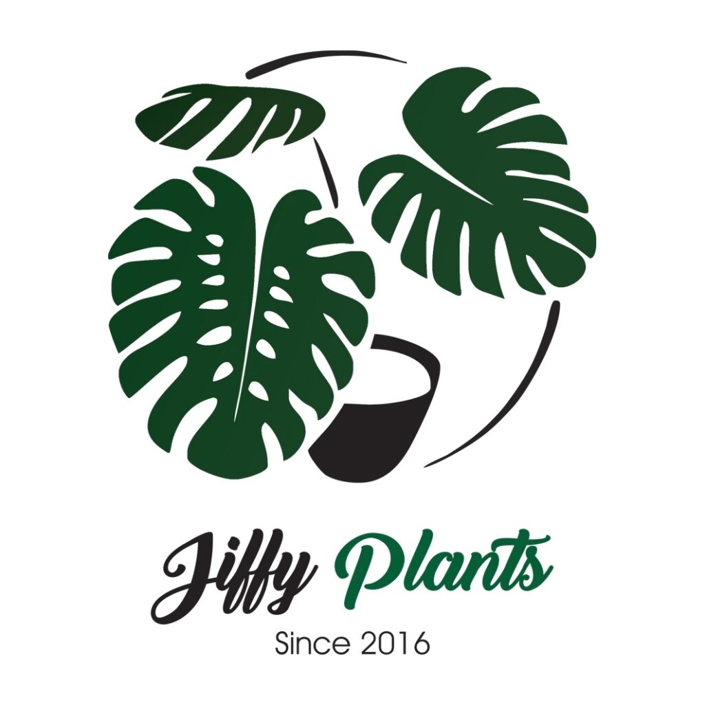 Jiffy Plants