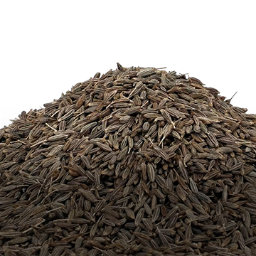 Cumin-seeds-singapore-99