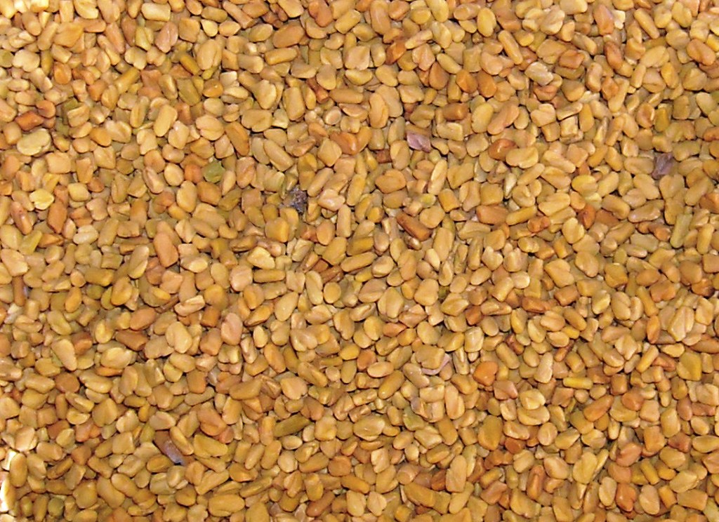 Fenugreek-Seeds