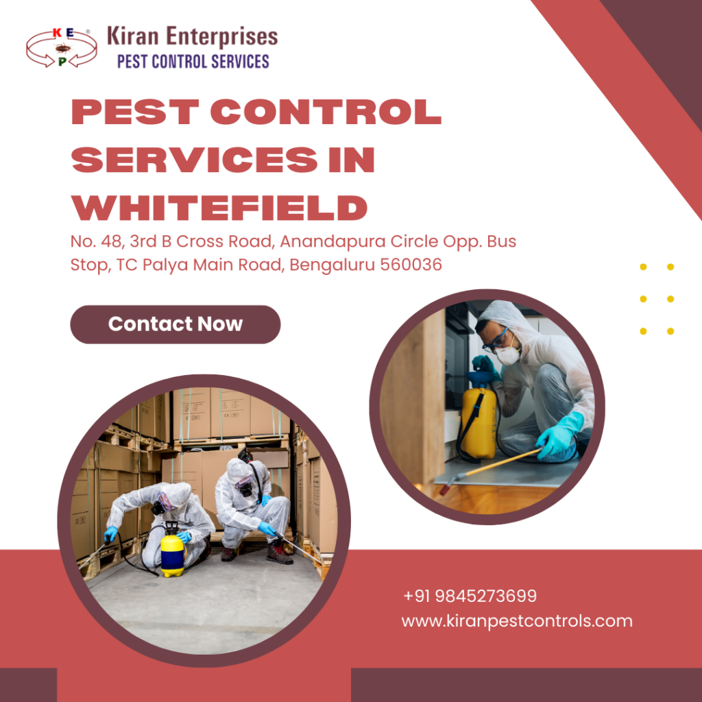 Pest-Control-Services-in-Whitefield