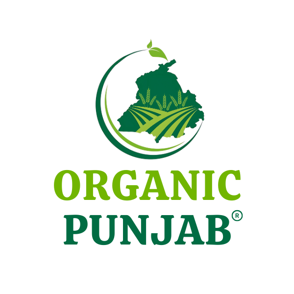 Logo-Round