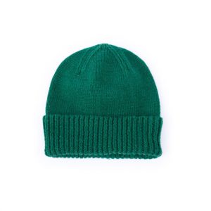 eddys dinosaur green beanie for toddlers
