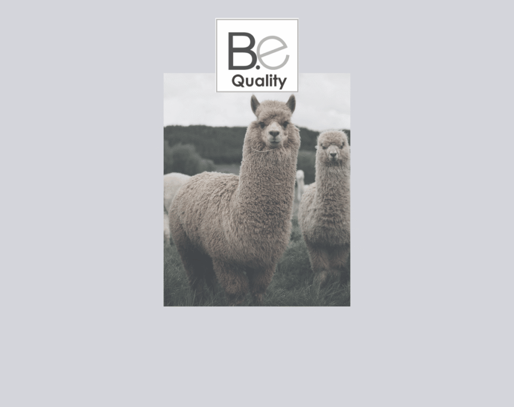 B.e Quality organic Pima cotton sustainable fashion product