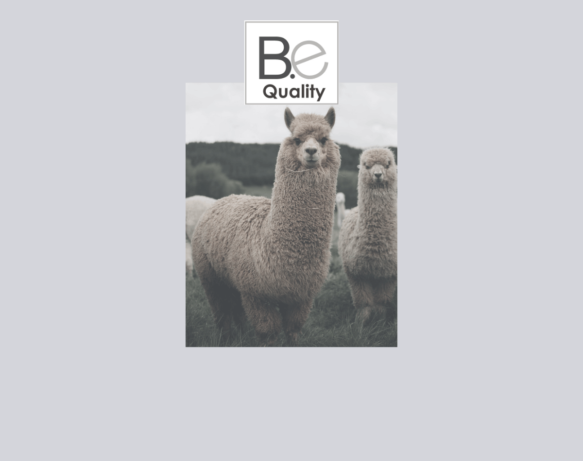 B.e Quality organic Pima cotton sustainable fashion product