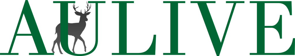 Aulive