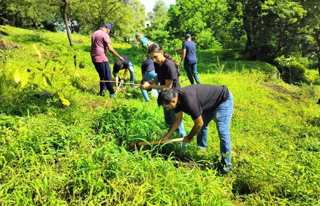 Plant A Million Trees