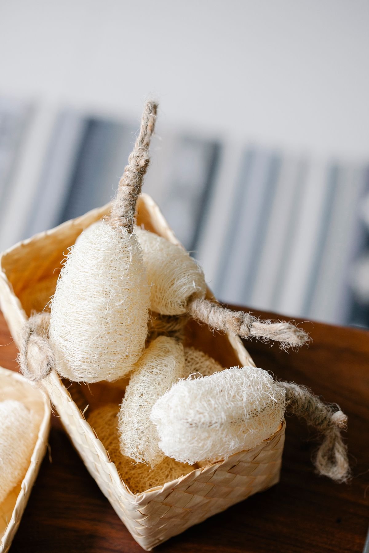 LoofahB2B - natural loofah products