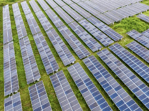 Foshan Vazpo solar cable used in a 2.5 MW agro-photovoltaic system in Cameroon